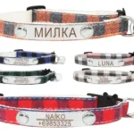 collier personnalise pour chat marron collier pour chat