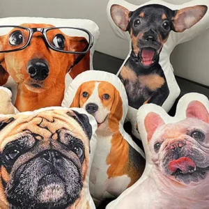 photo coussin animeaux carre