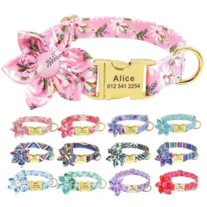 collier personnalise animaux collier pour chat