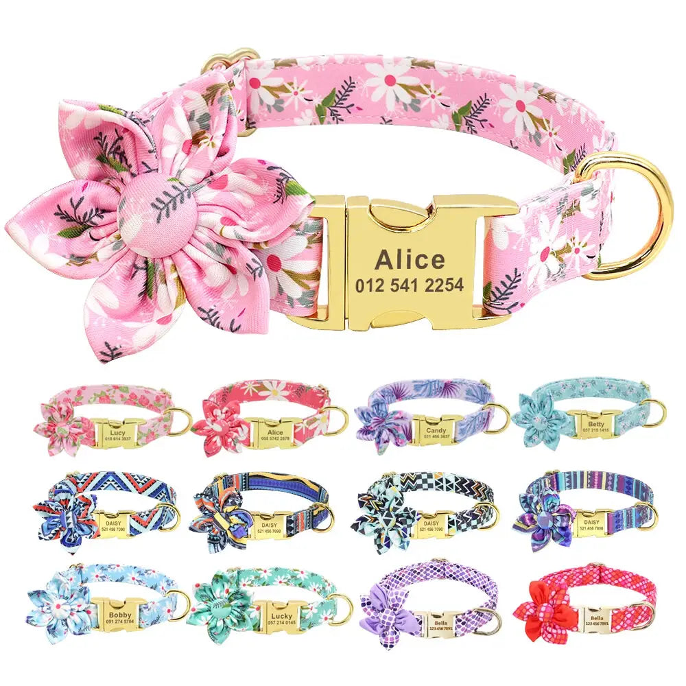 collier personnalise animaux collier pour chat