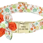 Personalisiertes Tierhalsband - Image