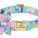 Personalisiertes Tierhalsband - Image