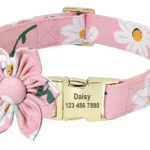 Personalisiertes Tierhalsband - Image