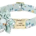 Personalisiertes Tierhalsband - Image