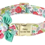Personalisiertes Tierhalsband - Image