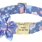 Personalisiertes Tierhalsband - Image