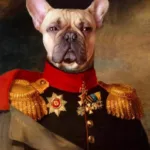 Porträtkarikatur Tiere - Image