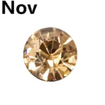 Ring Name - Photo 13