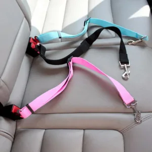 ceinture securite chien