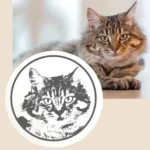 Stempel mit Gesicht Personalisiert - Photo 4