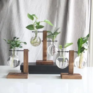 pot de fleurs interieur design tous