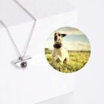 Projektionskette mit Foto – Foto 4